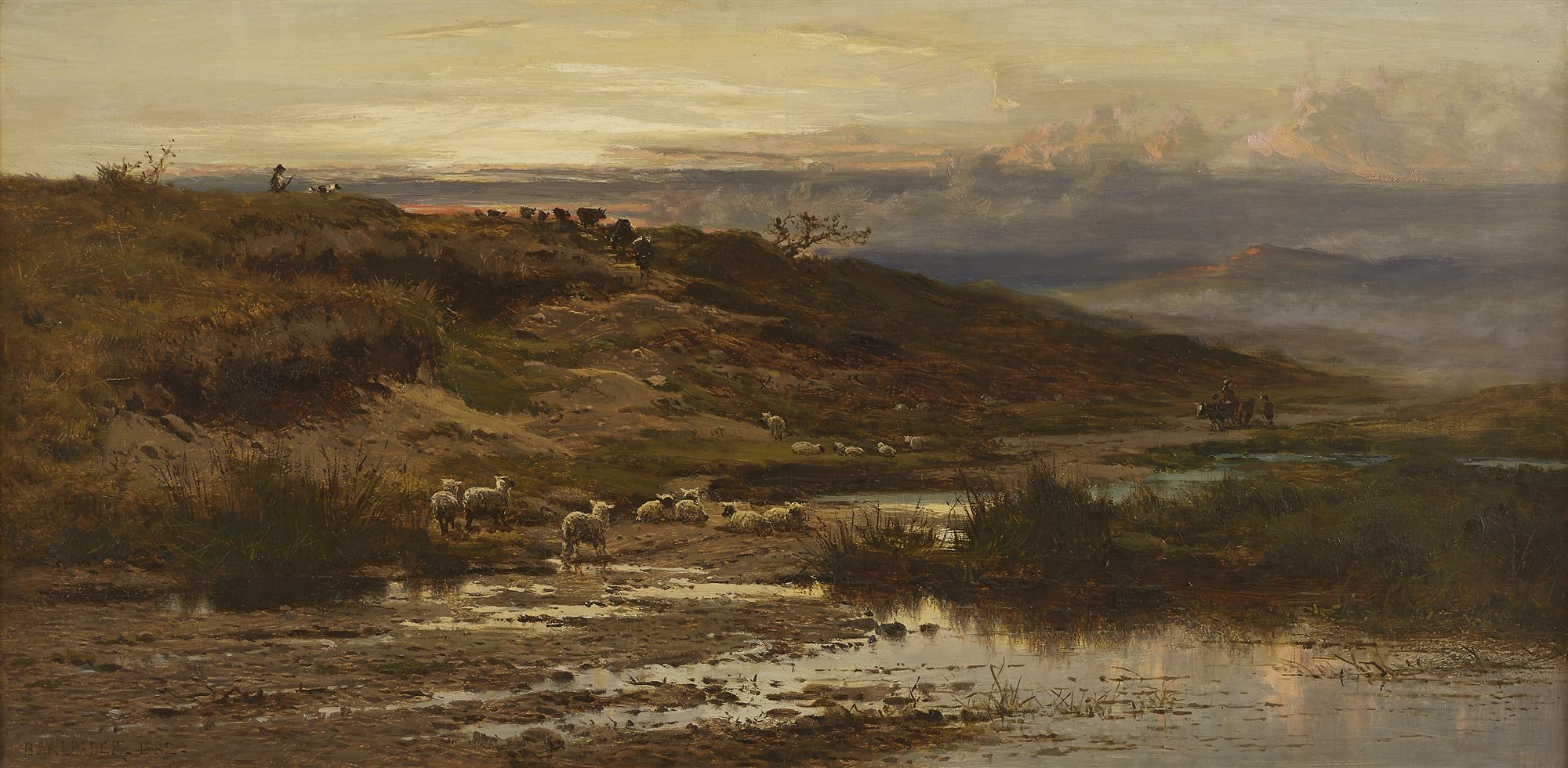 Benjamin Williams Leader | Sheep in Landscape