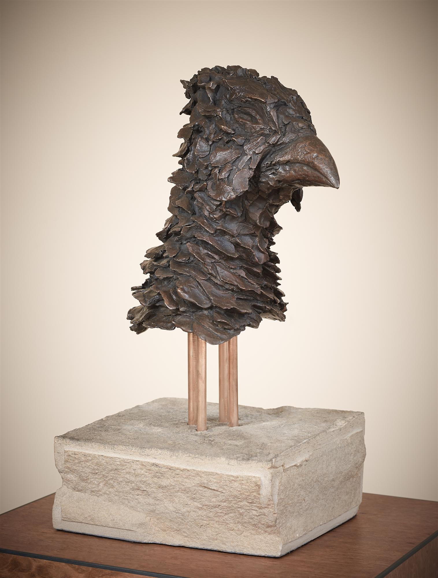 Joseph Paxton | Pheasant Head