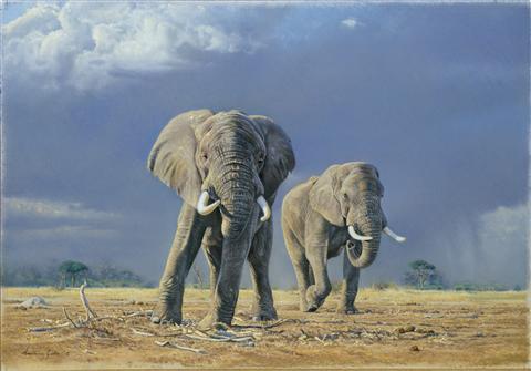 Anthony Gibbs | Late Rains