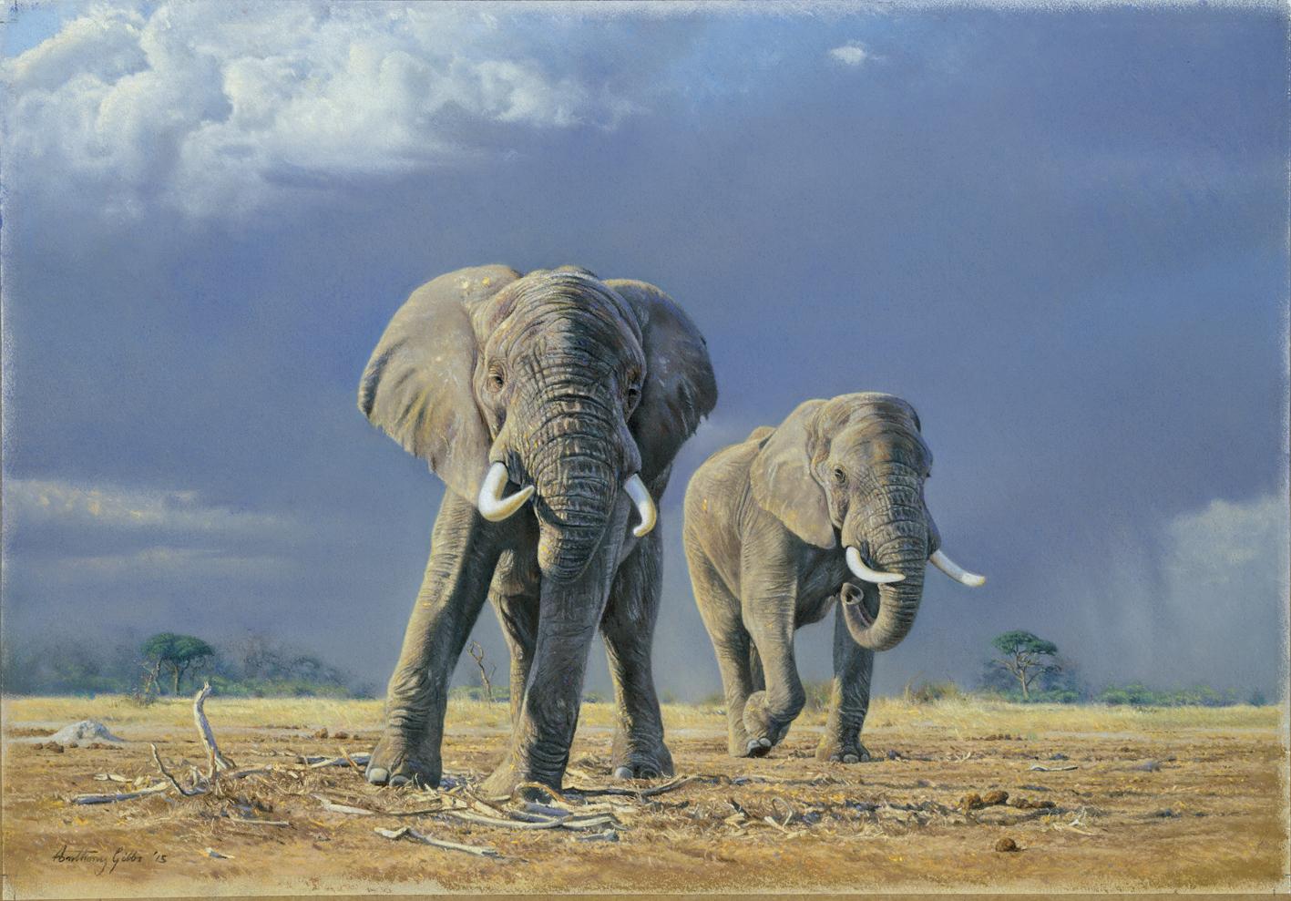 Anthony Gibbs | Late Rains