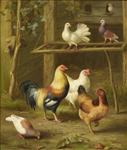 Cockerel, Hens, Chicks & Pigeons PAIR, Edgar Hunt