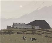 Sheepdogs, Carmel, Sir Kyffin Williams