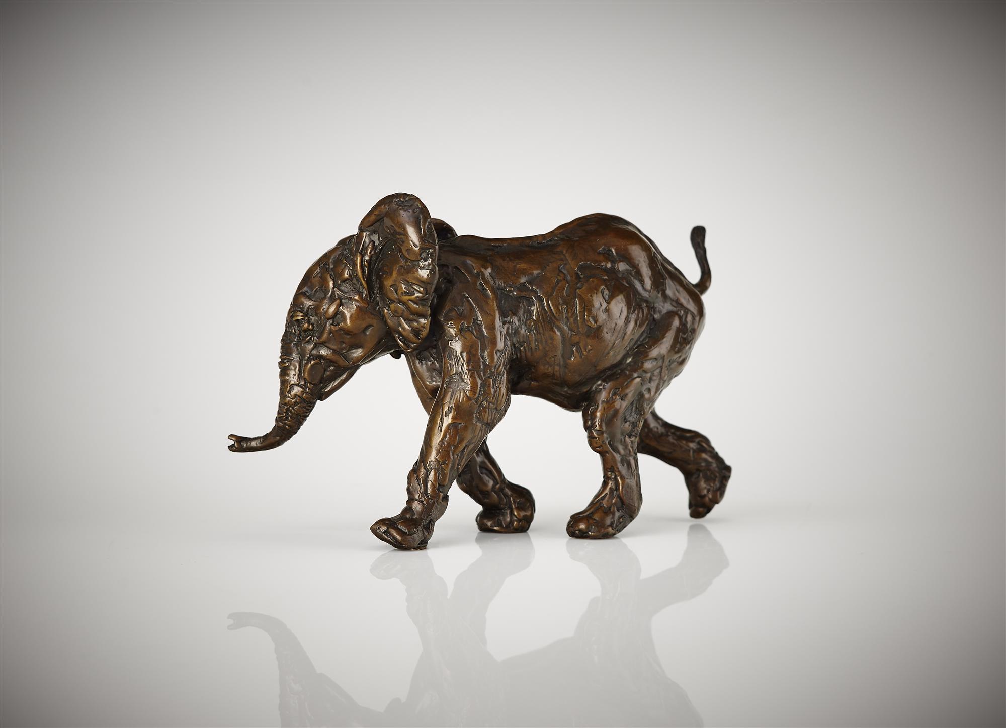 Lucy Kinsella | Elephant