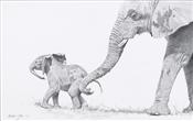 Mother & Baby Elephant, Anthony Gibbs