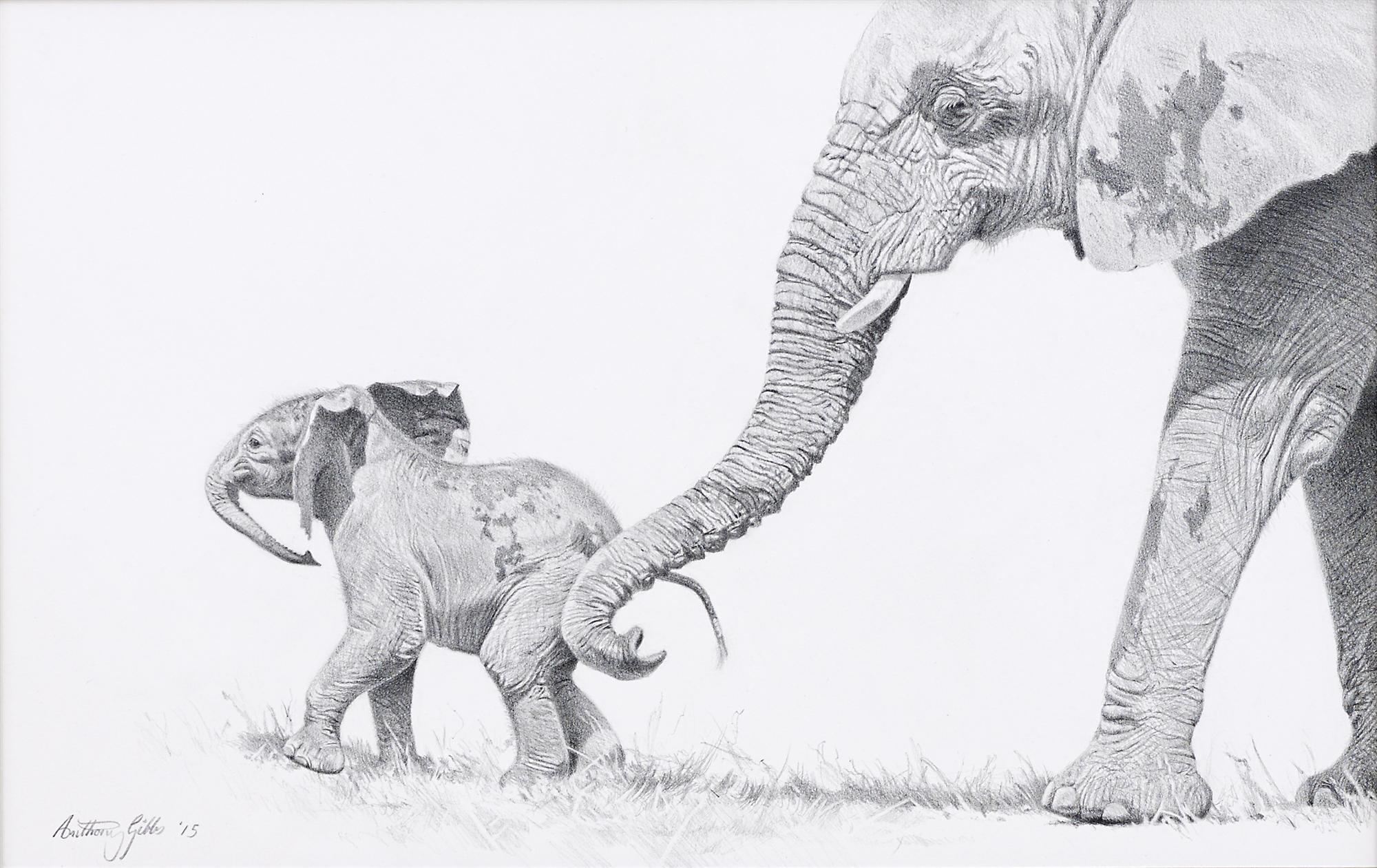 Anthony Gibbs | Mother & Baby Elephant