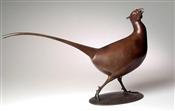 Pheasant, Jonathan Knight