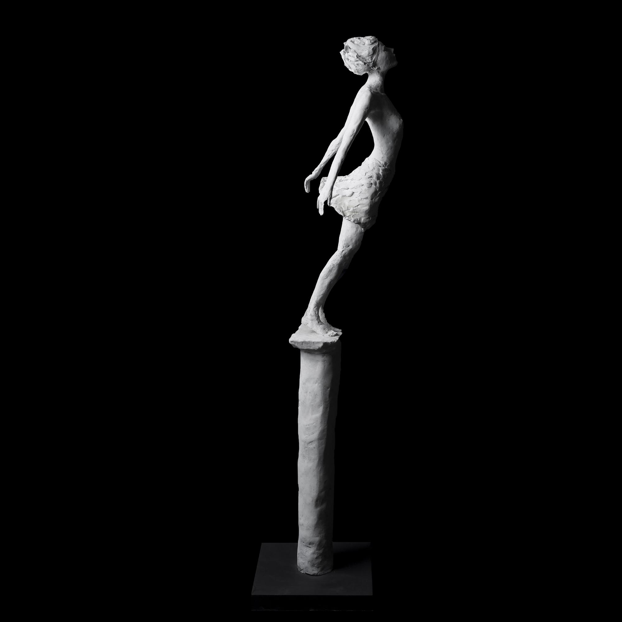 David Williams Ellis | Windswept