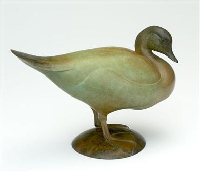 Jonathan Knight | Widgeon
