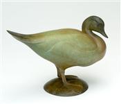 Widgeon, Jonathan Knight