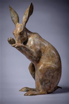 Jonathan Knight | Small Hare