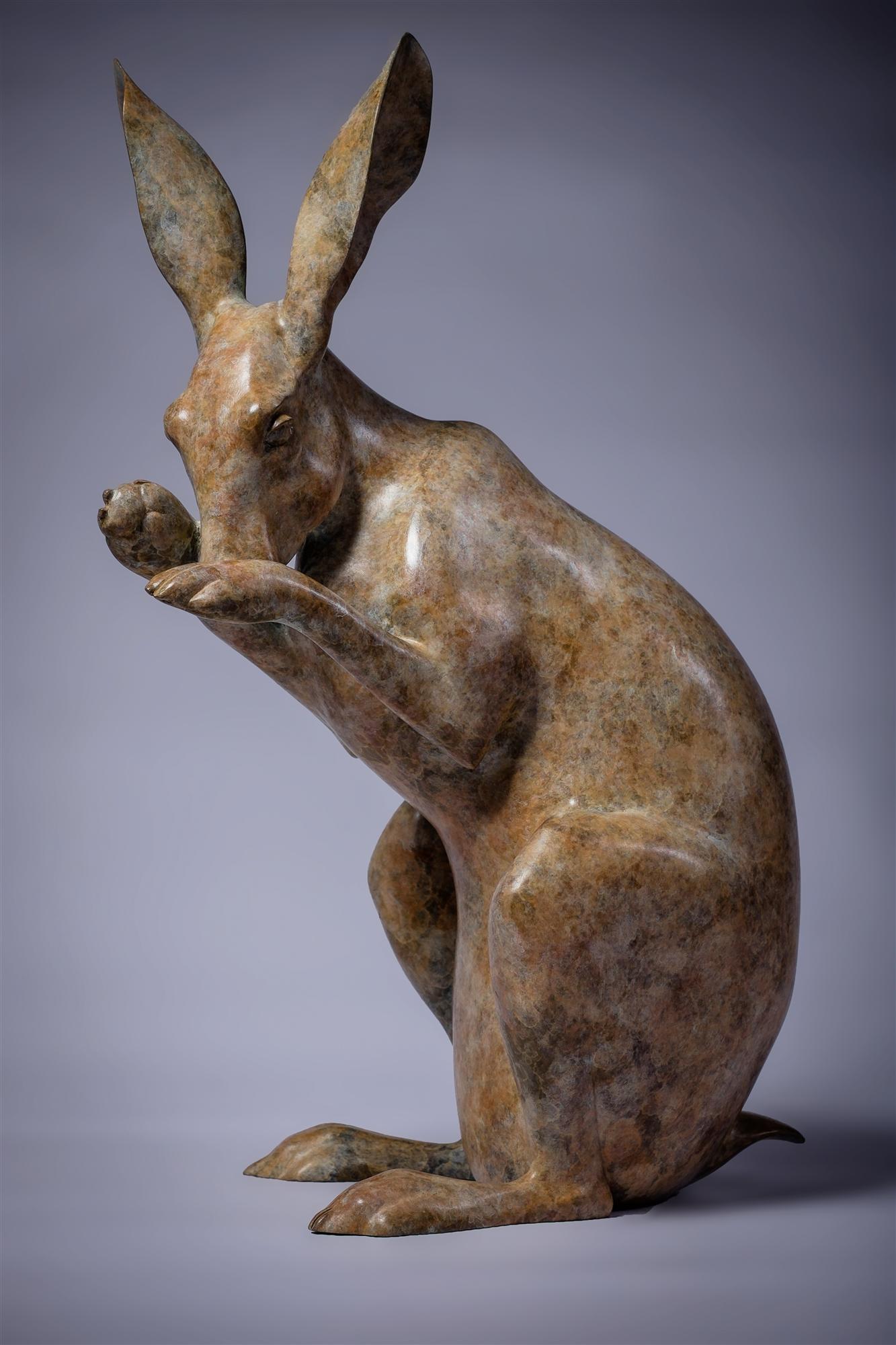 Jonathan Knight | Small Hare