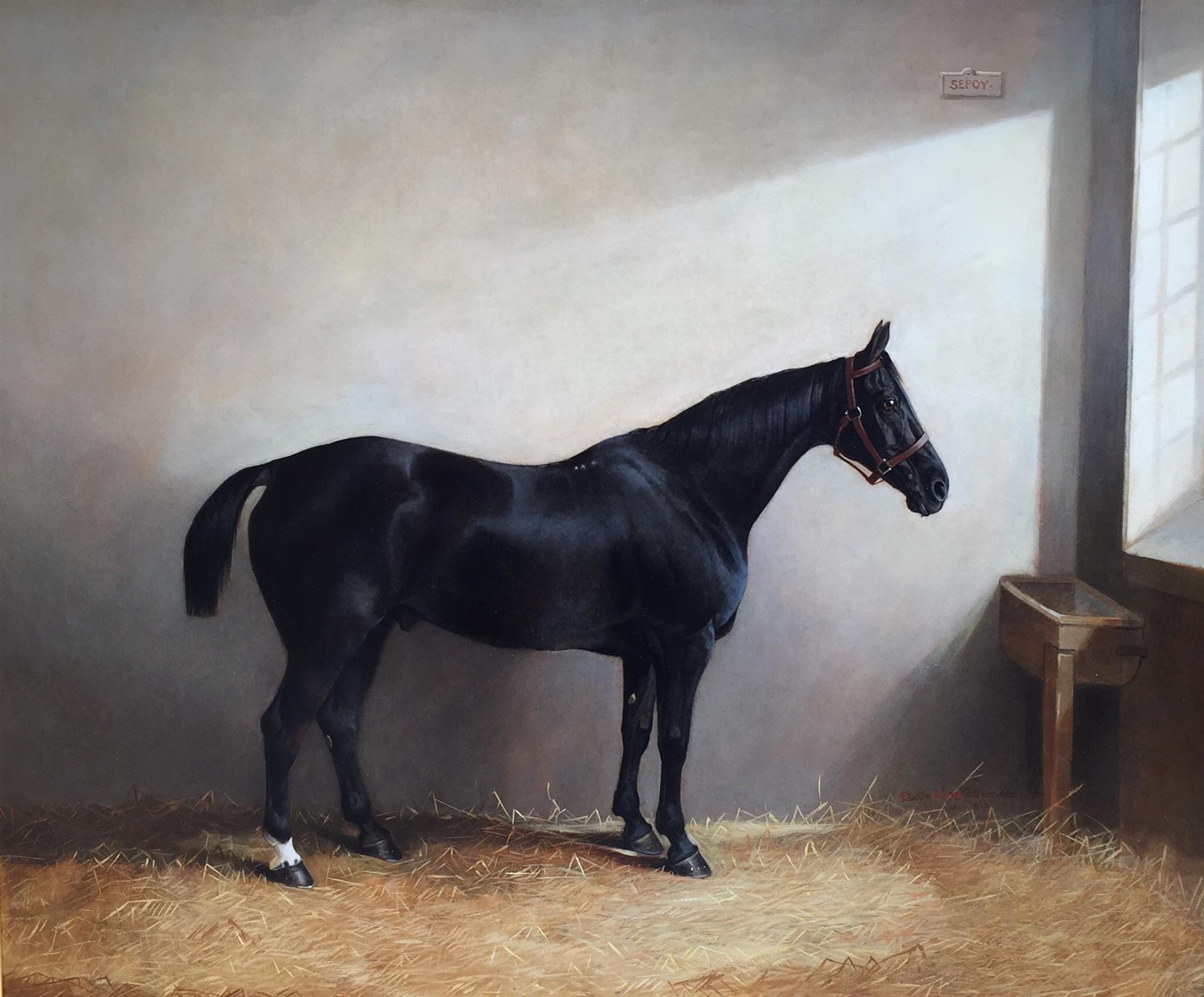 Edward Lloyd | Sepoy