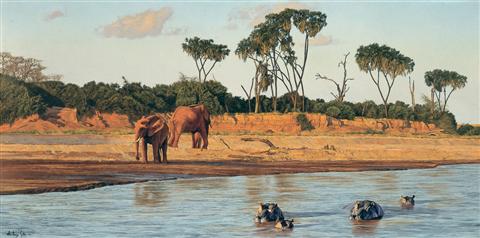 Anthony Gibbs | Evening on the Galana