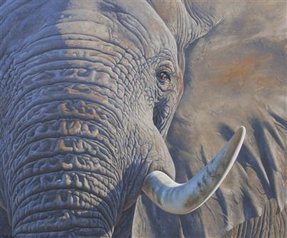 Anthony Gibbs | Jumbo