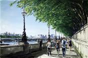 Thames, Westminster, David Porteous - Butler