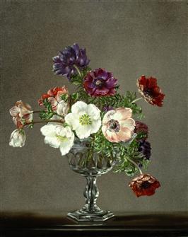 Cecil Kennedy | A Vase of Anemones