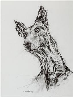 Joseph Paxton  | Podenco