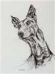 Podenco, Joseph Paxton 