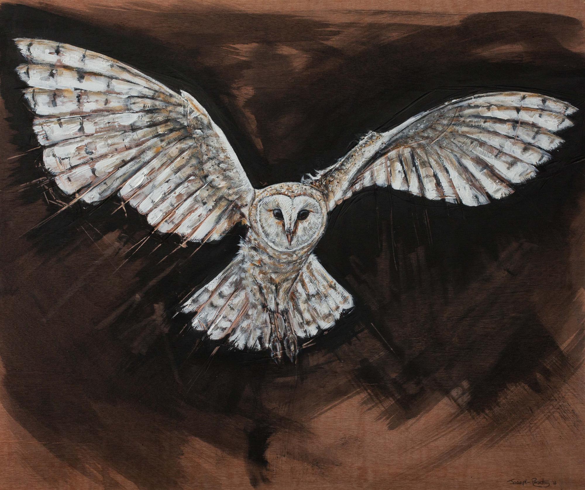 Joseph Paxton  | Barn Owl
