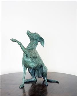 Jemma Pearson | Italian Greyhound I