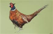 Pheasant on Green II, Joseph Paxton 