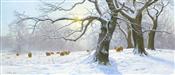 Winter Sentinals, Anthony Gibbs