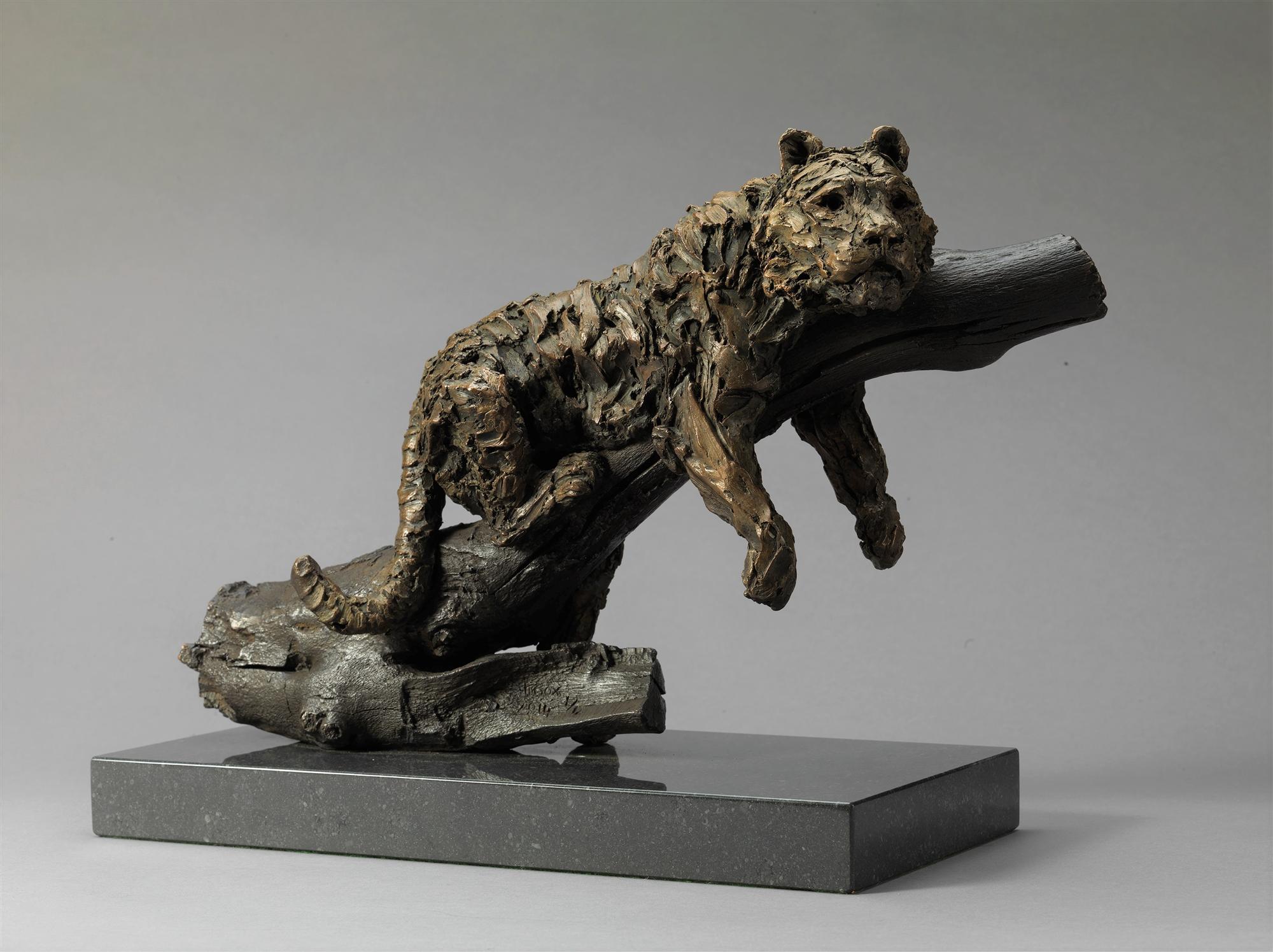 Knox Field | Tiger in Tree