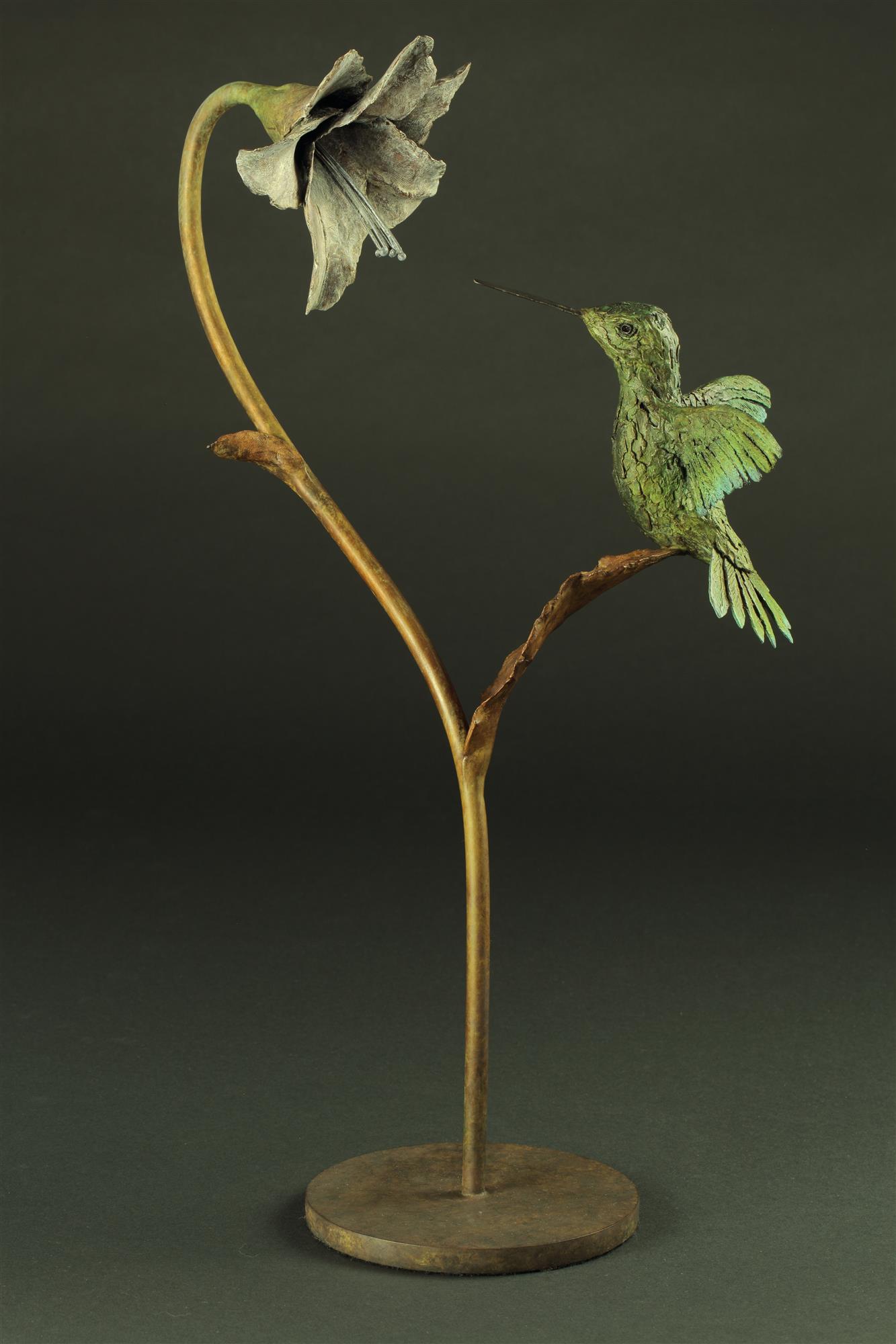 Knox Field | Humming Bird