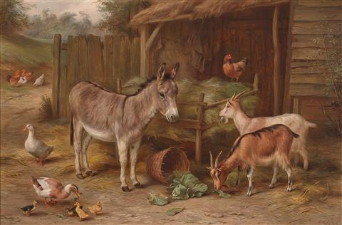 Edgar Hunt | Donkey, Goats & Chickens