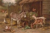 Donkey, Goats & Chickens, Edgar Hunt