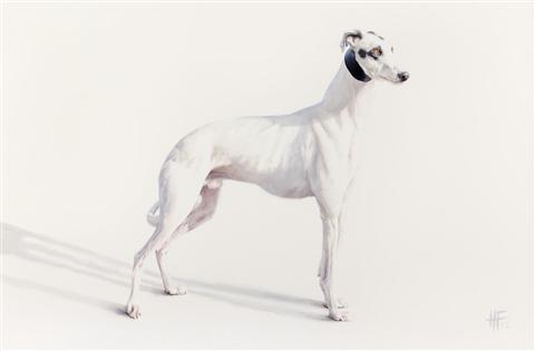 Peter Haslam Fox | Avalon Icon, Greyhound