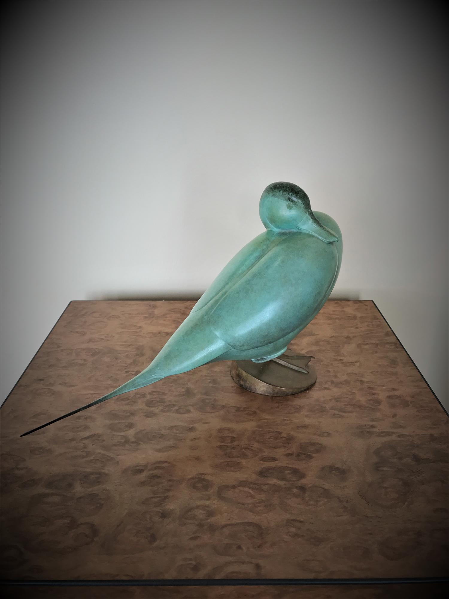Jonathan Knight | Pintail Duck