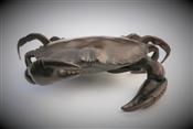 Crab, Jonathan Knight