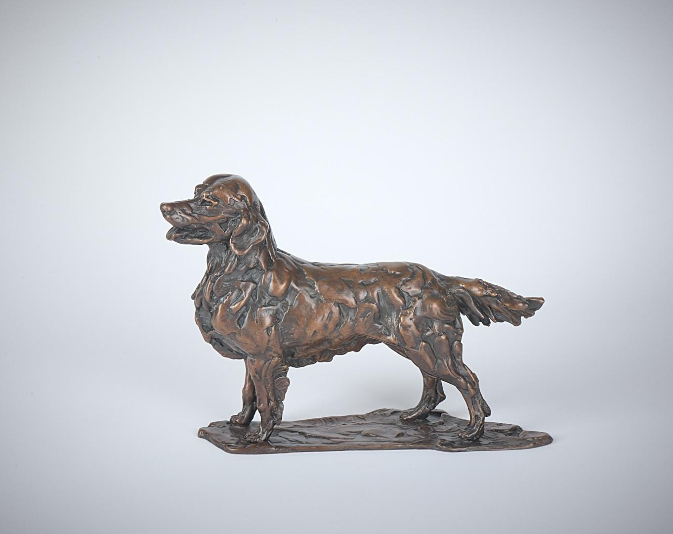 Lucy Kinsella | Golden Retriever, Standing