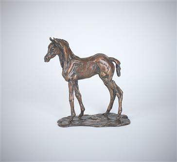 Lucy Kinsella | Standing Foal