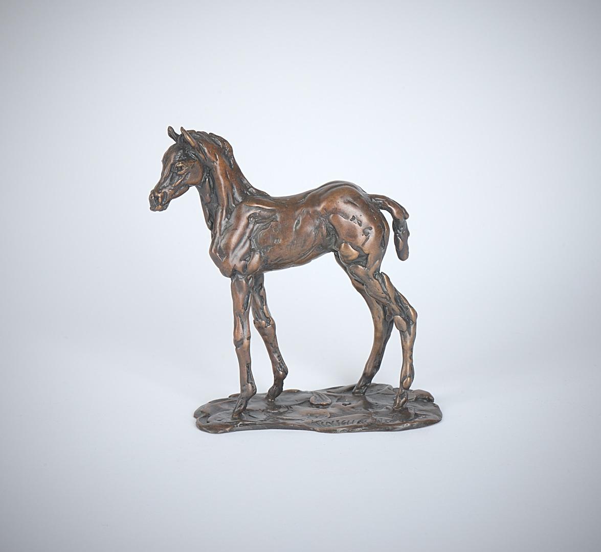 Lucy Kinsella | Standing Foal