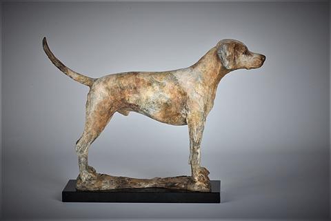 Stephen J Winterburn | Standing Hound