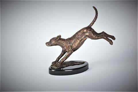 Stephen J Winterburn | Small Jumping Hound