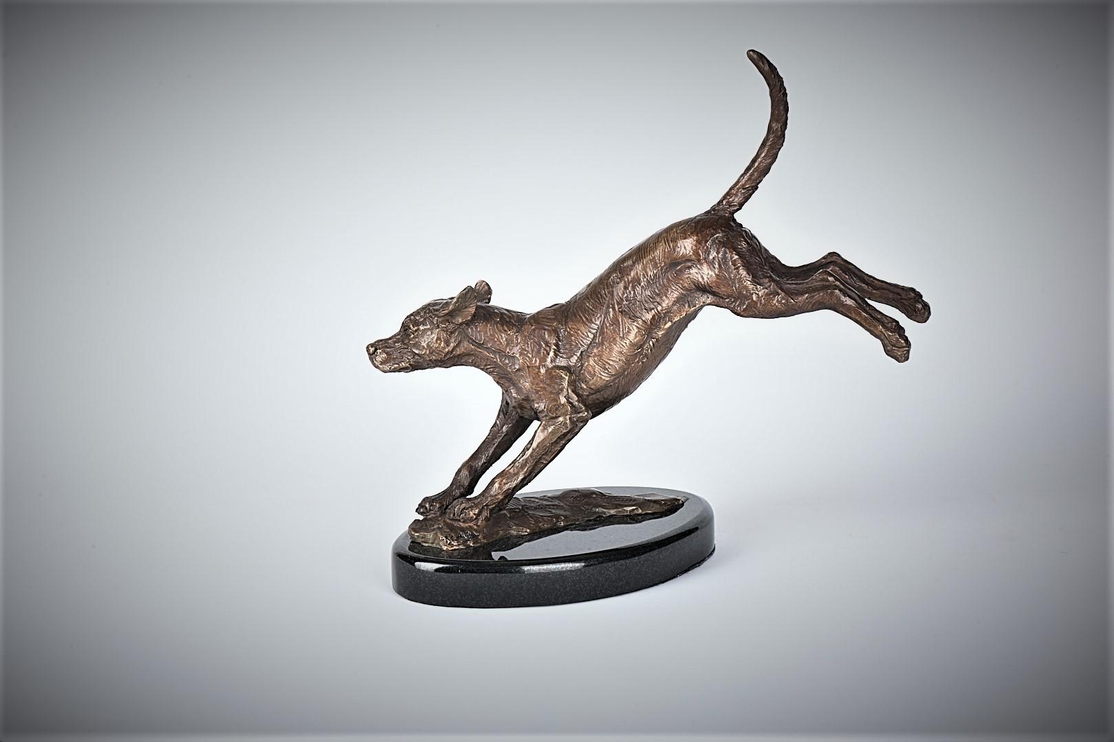 Stephen J Winterburn | Small Jumping Hound