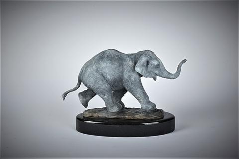 Stephen J Winterburn | Baby Indian Elephant