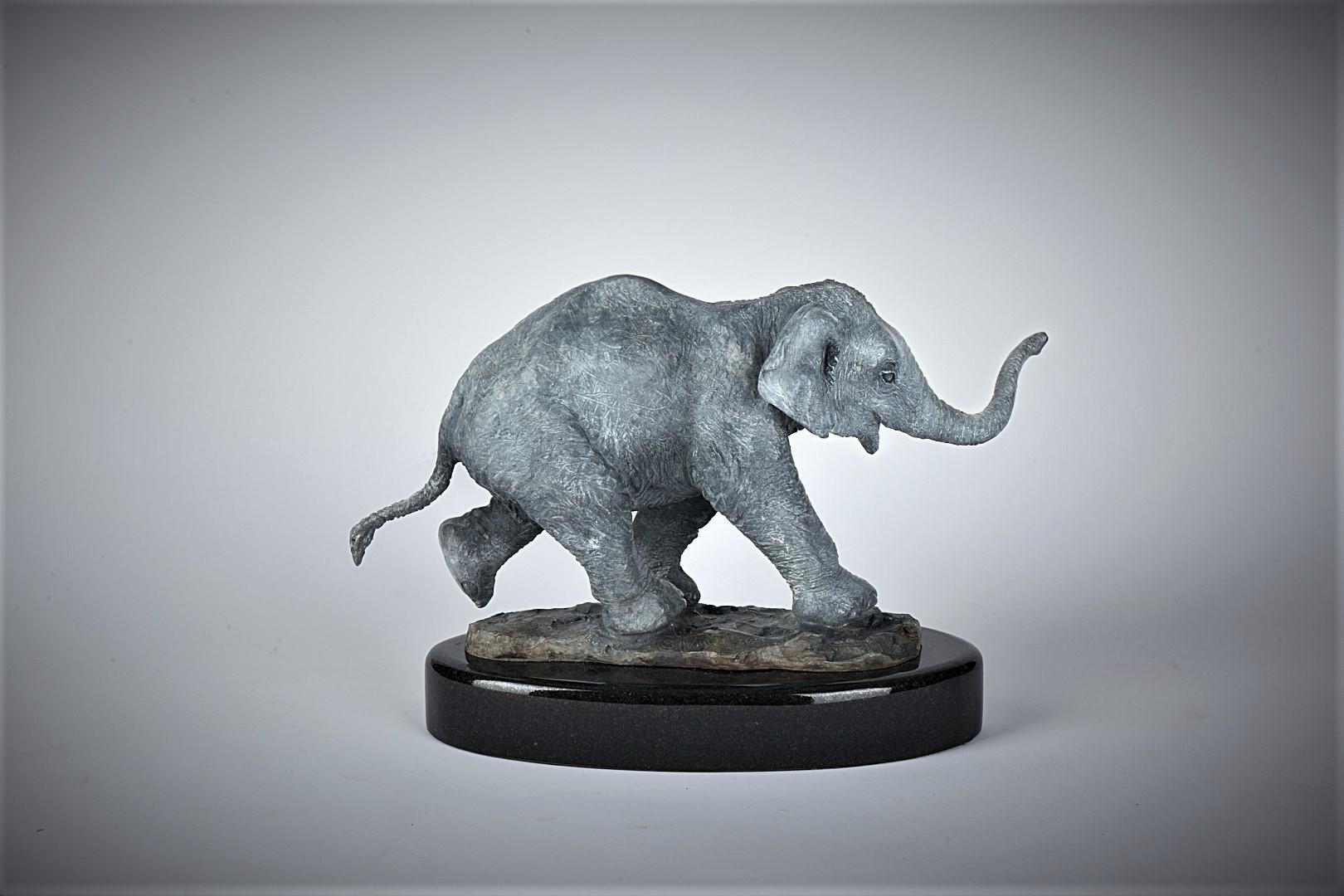Stephen J Winterburn | Baby Indian Elephant