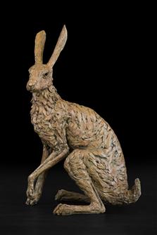 Knox Field | Hare