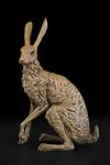 Hare, Knox Field