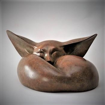 Jonathan Knight | Fennec Fox