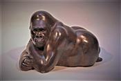 Resting Gorilla, Jonathan Knight