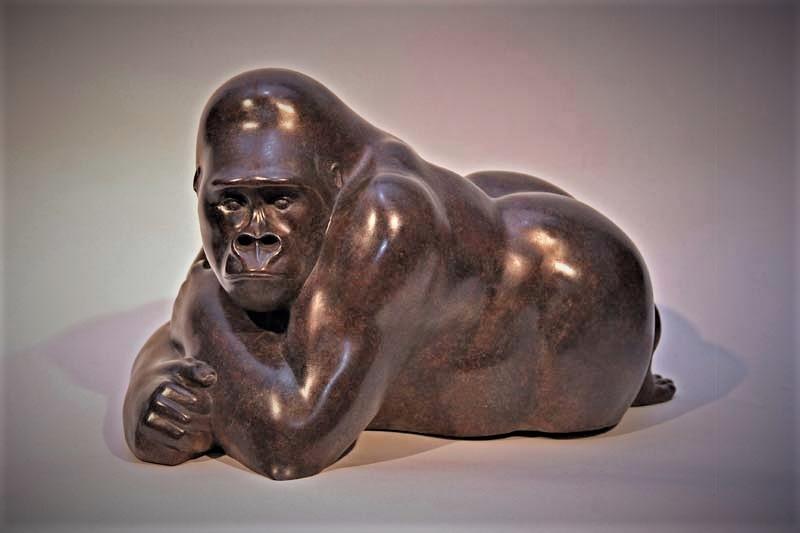 Jonathan Knight | Resting Gorilla