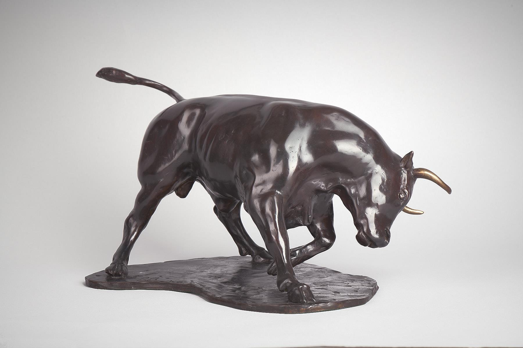 Philip Blacker | Bull 
