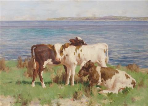 David Gauld | Ayrshire Calves by the Sea