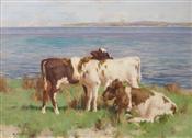 Ayrshire Calves by the Sea, David Gauld