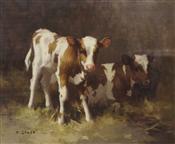 Two Ayreshire Calves in a Byre, David Gauld